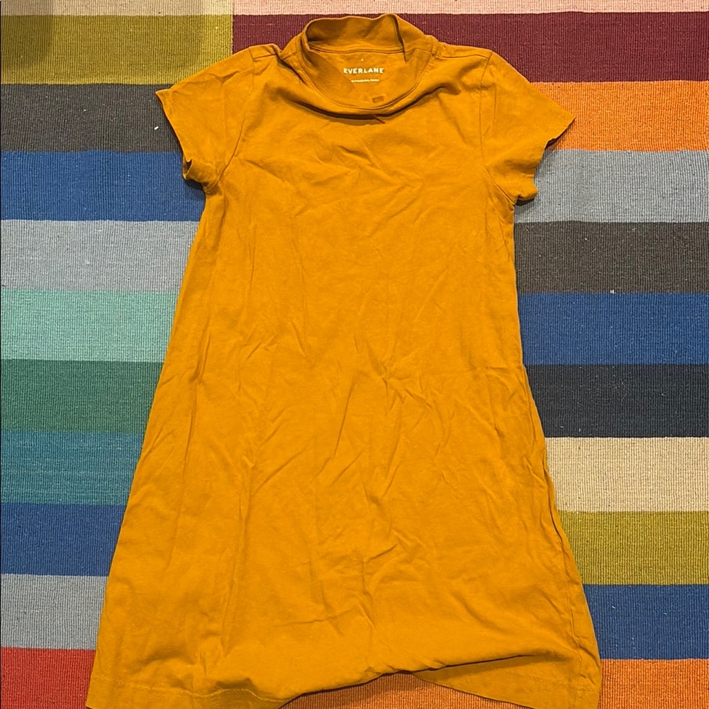 Everlane Yellow Mustard Shirt Dress